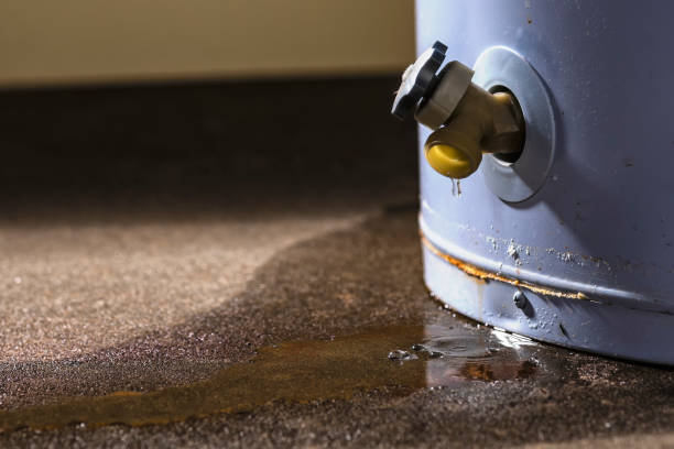 Best Local water damage restoration  in Sorgho, KY